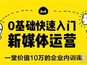 价值十万!0基础快速入门新媒体运营 全10章【完结】