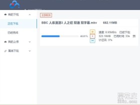 PC端第三方百度网盘不限速下载工具：BaiduPCS Web_v3.6.9