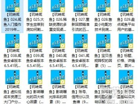 2019年9月最新!零基础闲鱼掘金项目 音频课 全41讲
