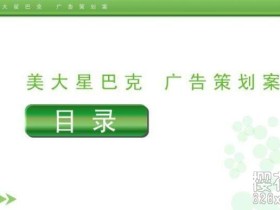 创业启发:星巴克咖啡 全套运营方案(视频教程含开店选址方案、宣传方案制作等)