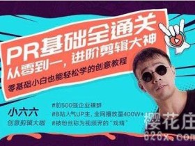 视频剪辑从0学起:PR基础全通关:从0到1,进阶剪辑大神 全套视频教程