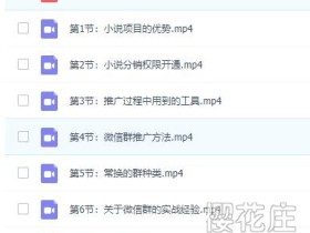 微信群小说项目,月赚上万视频课 全7节