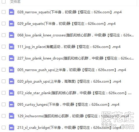 来自国外的专业健身课 全190集视频教程（中字），价值1000块 配图 No.3