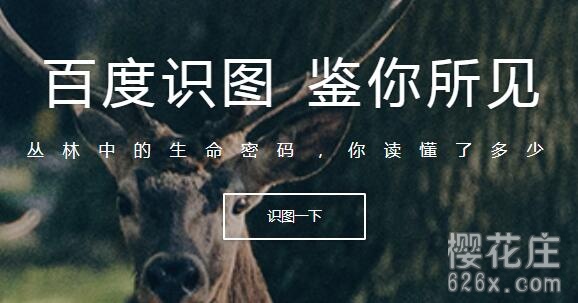 介绍几个图片搜索高级功能:以图搜图、以图搜人、以图搜电视剧(视频) pic No.1 介绍几个图片搜索高级功能:以图搜图、以图搜人、以图搜电视剧(视频) 配图 No.1