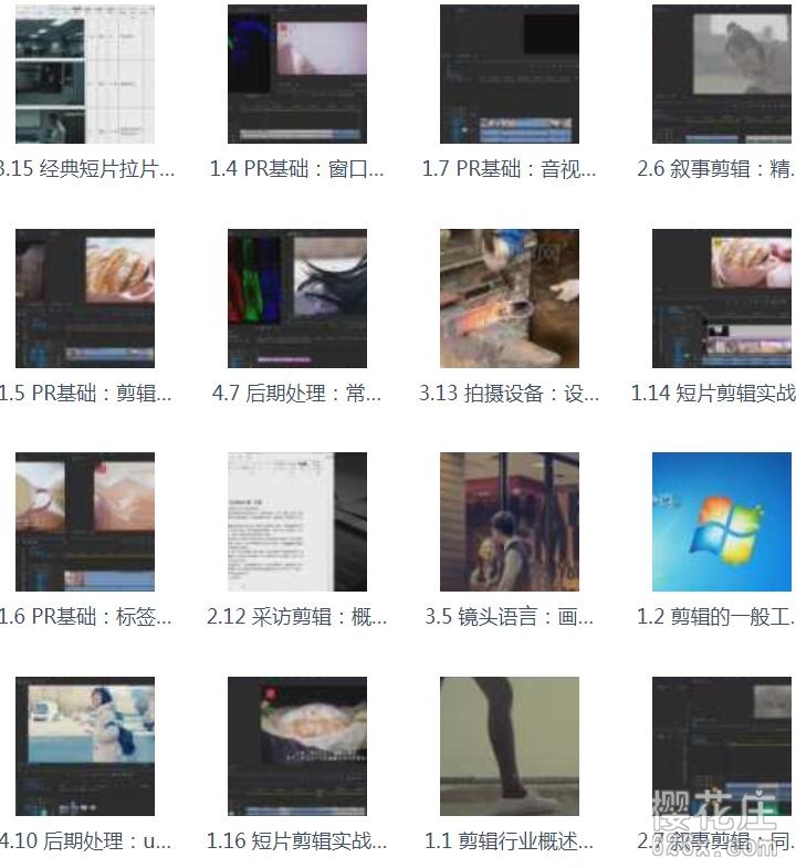 一套系统的、完整的：零基础学习Adobe Premiere视频剪辑 视频教程+素材 配图