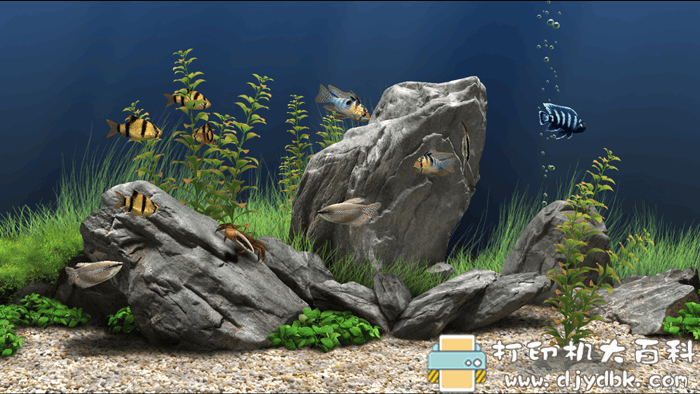 炫酷又好玩的桌面屏保工具:Dream Aquarium Screensaver 1.293 注册版 pic 炫酷又好玩的桌面屏保工具:Dream Aquarium Screensaver 1.293 注册版 配图