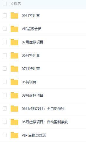 陆明明：2019虚拟项目特训班【全网引流，微博、抖音、小红书等】 全套视频教程 配图 No.2