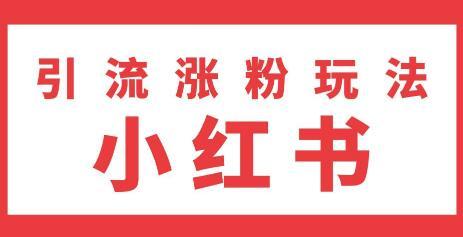 小红书涨粉引流新玩法:不写文章,不拍照(雨果)视频教程 pic 小红书涨粉引流新玩法:不写文章,不拍照(雨果)视频教程 配图