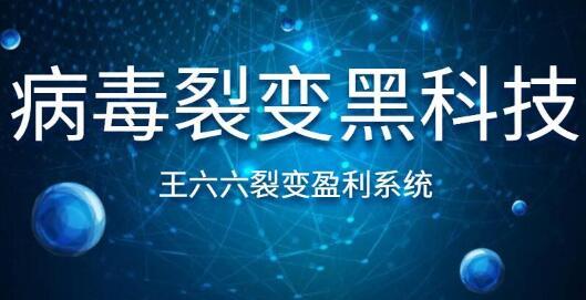 裂变盈利系统课程(王六六) 06 病毒裂变黑科技（视频+讲义） 配图