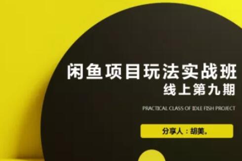 闲鱼项目零起点玩法到批量化放大操作(第9期付费培训)【视频教程】 pic 闲鱼项目零起点玩法到批量化放大操作(第9期付费培训)【视频教程】 配图