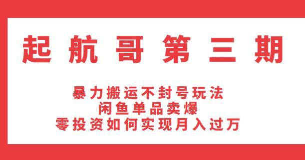 零投入搬运不封号,闲鱼商品卖爆月入过万项目(起航哥第三期培训课程)【视频教程】 pic 零投入搬运不封号,闲鱼商品卖爆月入过万项目(起航哥第三期培训课程)【视频教程】 配图