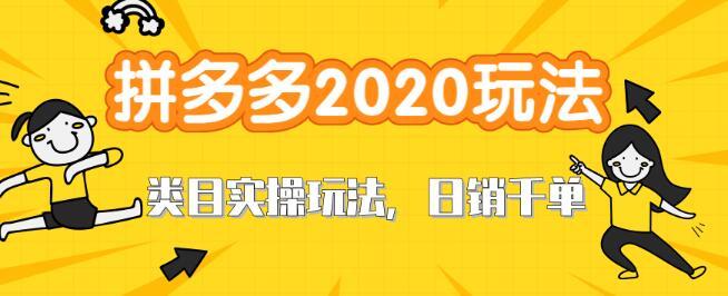 2020拼多多直通车打造新类目爆款玩法,轻松日销千单实战培训【视频教程】 pic 2020拼多多直通车打造新类目爆款玩法,轻松日销千单实战培训【视频教程】 配图