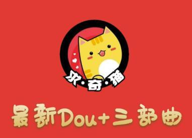 2020最新抖音DOU+三部曲（求奇猫），逆向思维选品+包装+极速起号【视频教程+素材】 配图