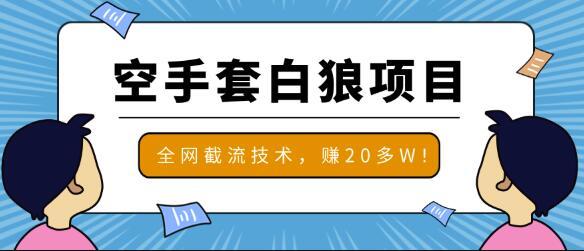 2020最新全网截流技术，月赚20W的空手套白狼项目【视频教程】 配图