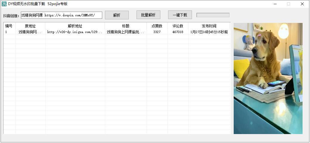 PC端 抖音视频无水印解析下载工具，支持批量 配图