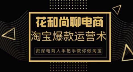淘宝天猫爆款运营实操术（花和尚），手把手传授你月销万件的爆款秘笈【视频教程】 配图