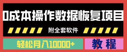 超简单数据恢复项目，纯零成本月入1万+操作手法【视频教程+软件】 配图