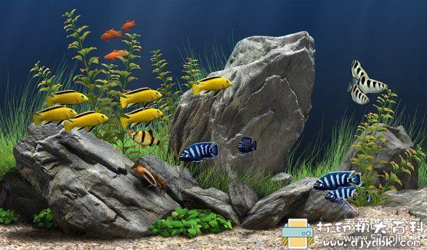 [Windows]【屏保】梦幻水族馆 v1.293 英文安装版，可给鱼喂食 配图