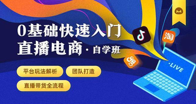 0基础快速入门直播电商自学班:团队打造 直播带货全流程+平台玩法解析【视频教程】 pic 0基础快速入门直播电商自学班:团队打造 直播带货全流程+平台玩法解析【视频教程】 配图