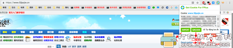 [Windows]一款轻松获取Cookie的Chrome扩展 配图