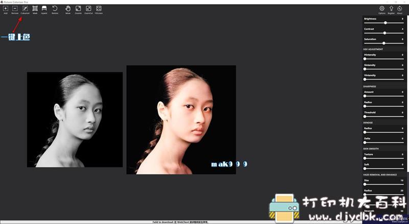 [Windows]Picture Colorizer 2.3.0 Pro单文件（AI人工智能黑白相一键上色） 配图 No.3