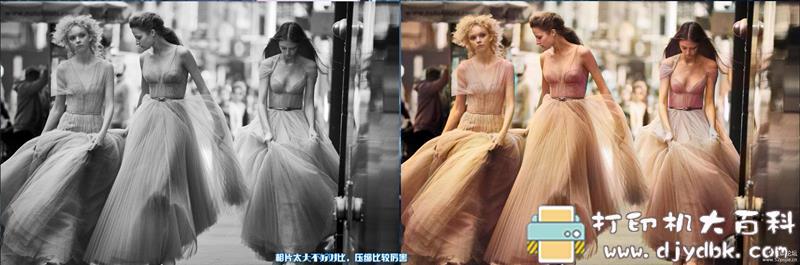 [Windows]Picture Colorizer 2.3.0 Pro单文件（AI人工智能黑白相一键上色） 配图 No.6