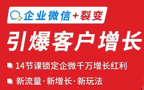 企业微信裂变增长实战课：企业微信+裂变，搞定企业微信千万增长【视频教程】 配图